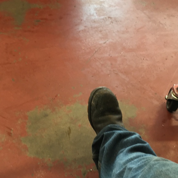 Meet your Posher, Samuel - Picture 1 of 1